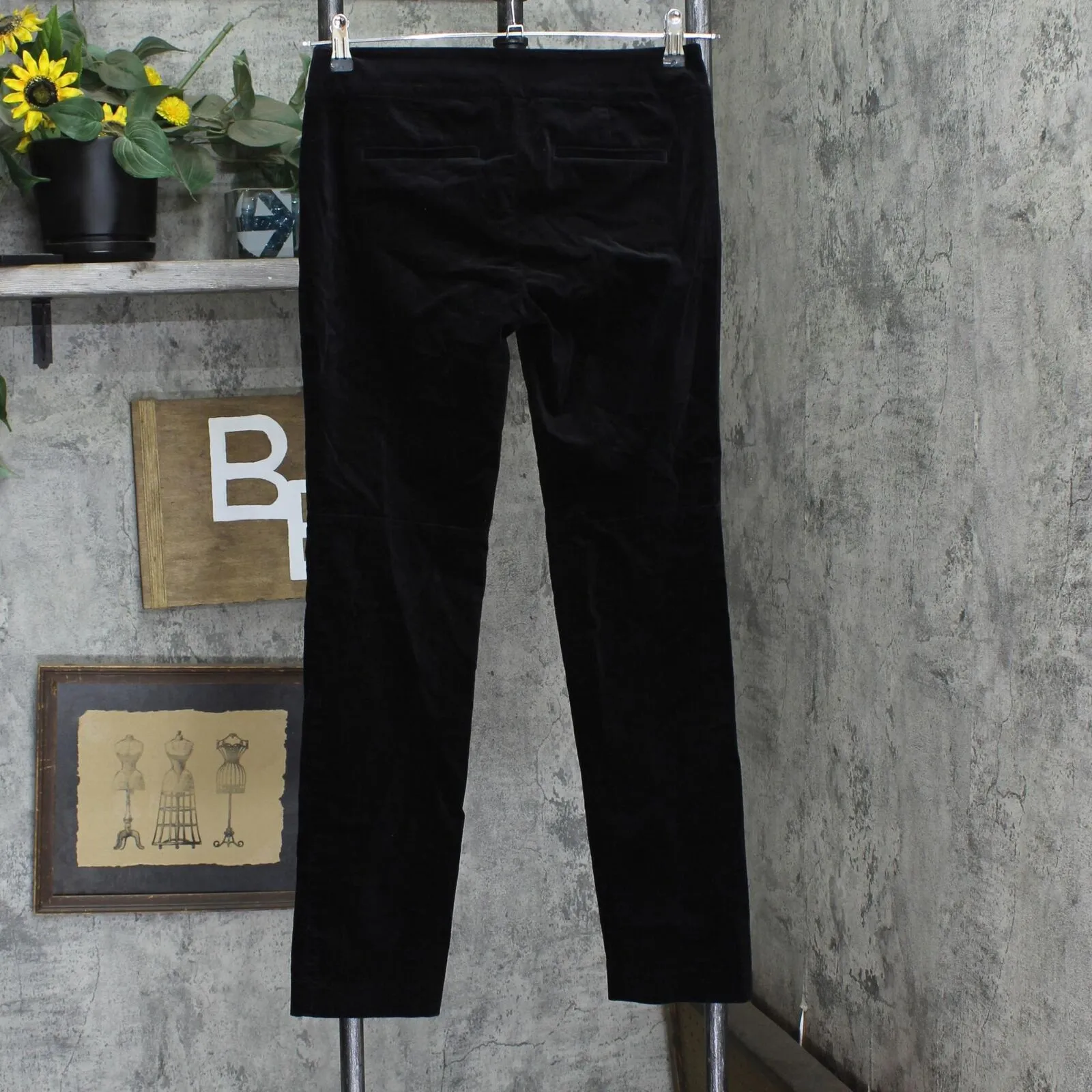 Ann Taylor Womens Velvet Straight Leg Dress Pants 166ffc3d9a425d Black 4P