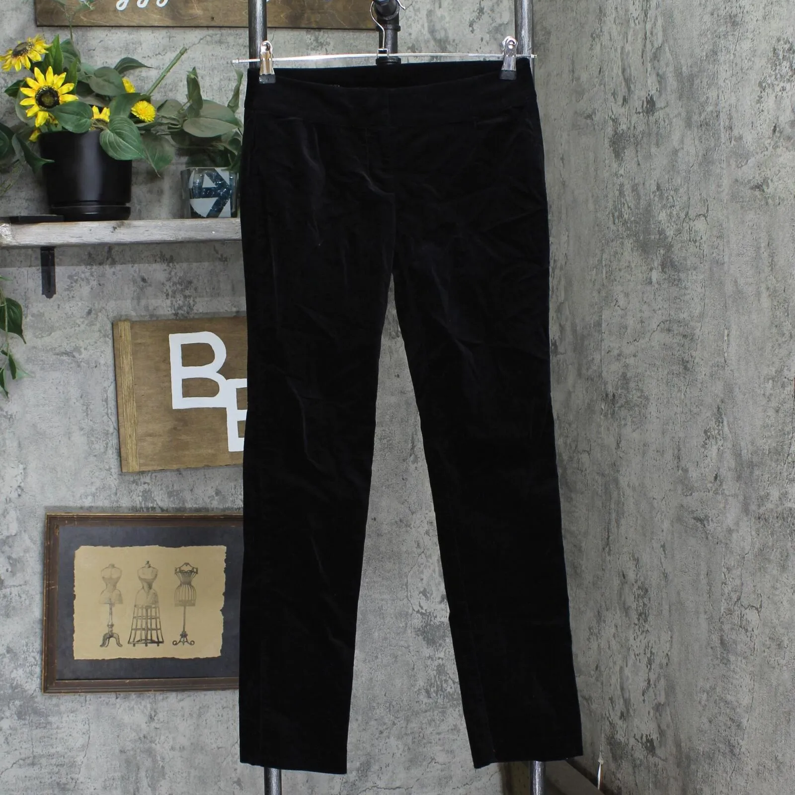 Ann Taylor Womens Velvet Straight Leg Dress Pants 166ffc3d9a425d Black 4P