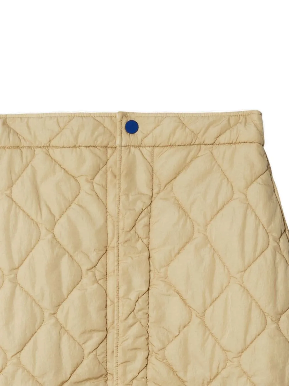 Burberry Women's Skirts