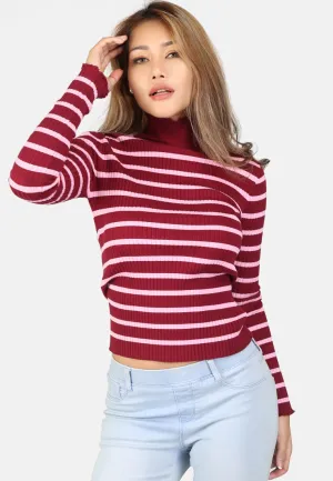Burgundy Turtleneck Striped Sweater