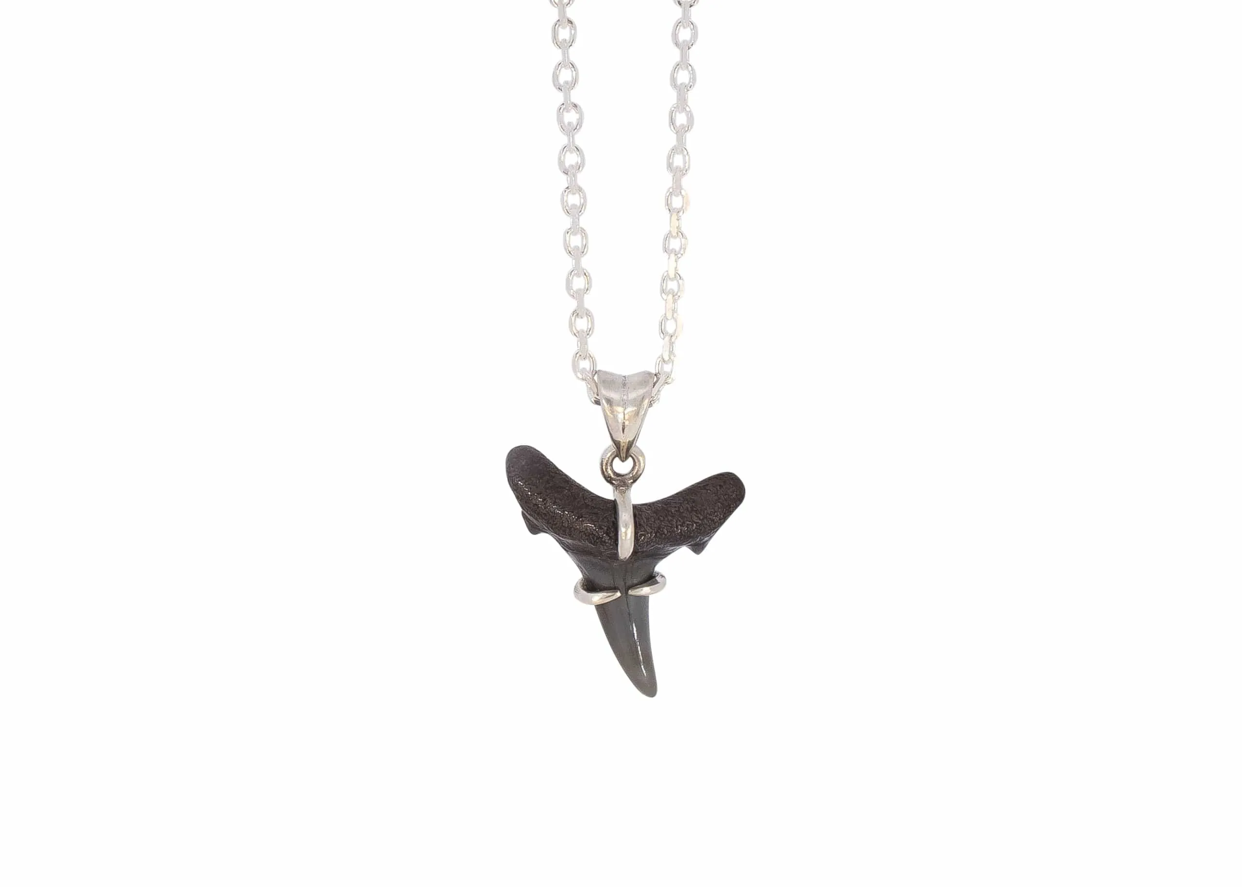 Fossilized Shark Tooth Necklace