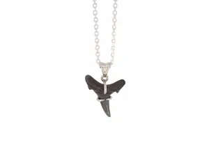 Fossilized Shark Tooth Necklace