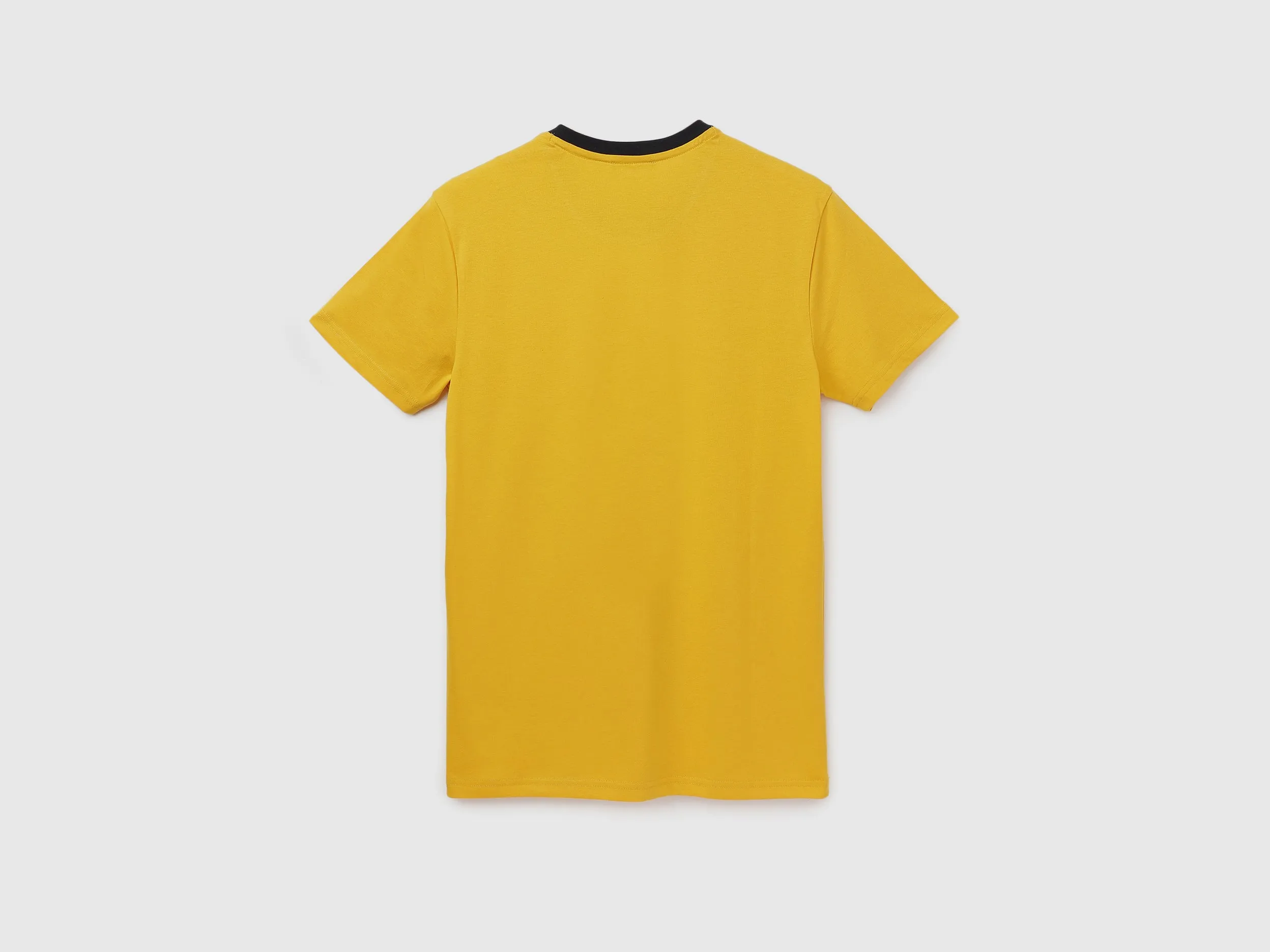 Men's Regular Fit Crew Neck Brand Logo T-Shirt
