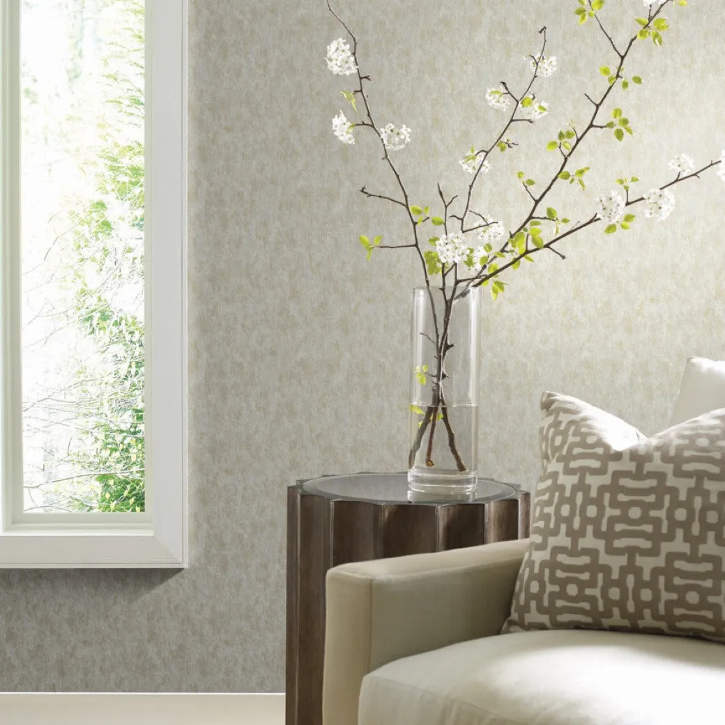 Neutral & Gold Shimmering Patina Wallpaper (57 SqFt)