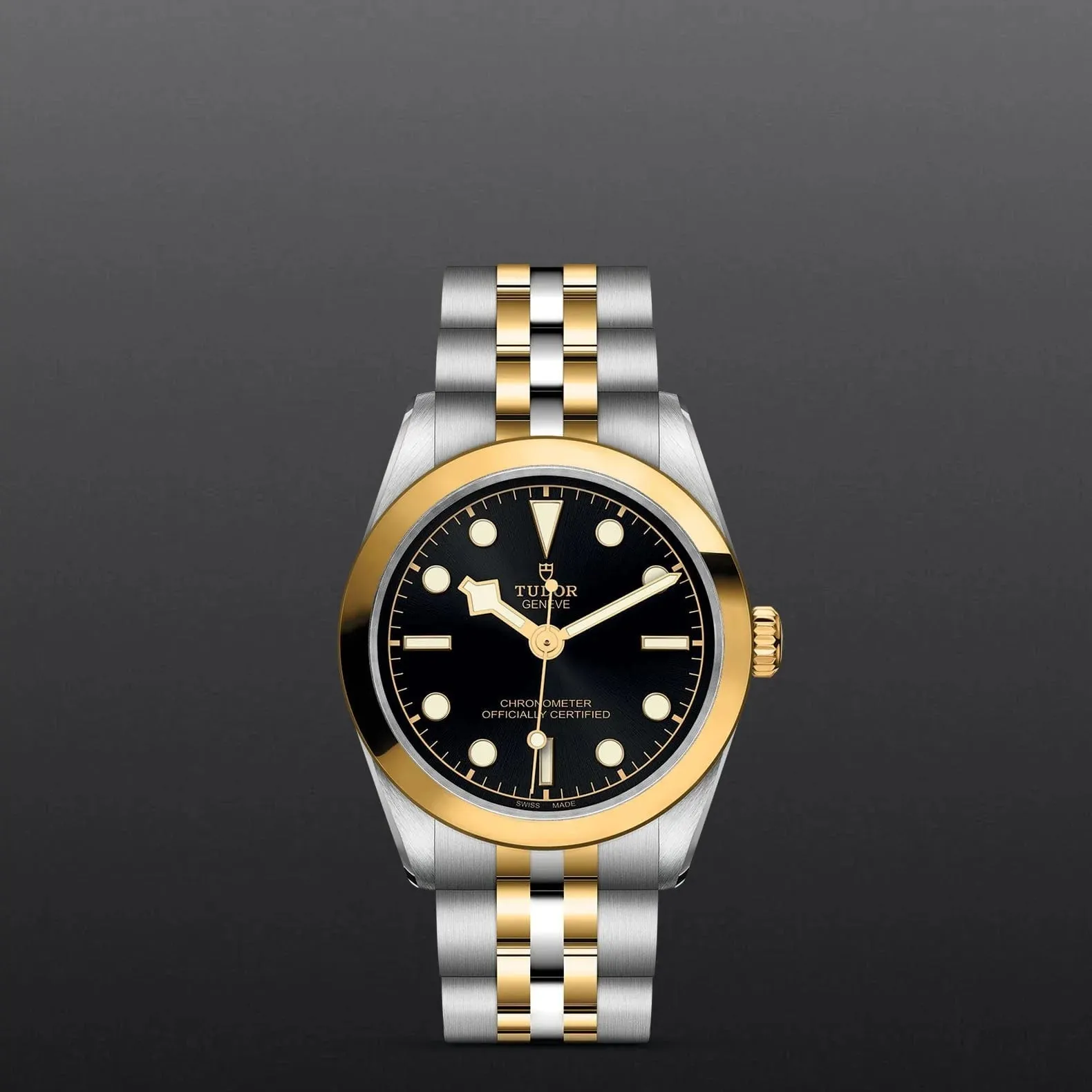 TUDOR Black Bay 31
