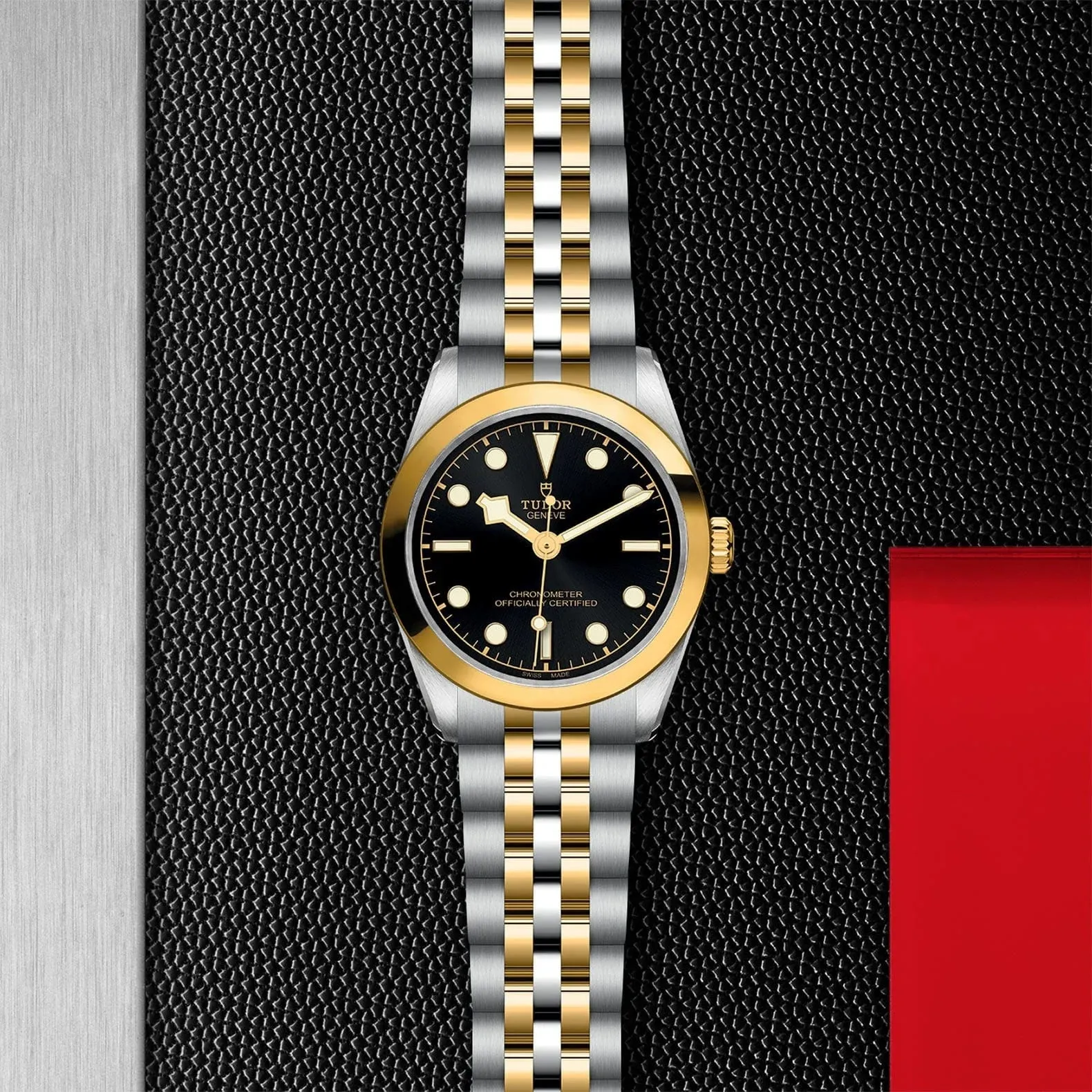 TUDOR Black Bay 31