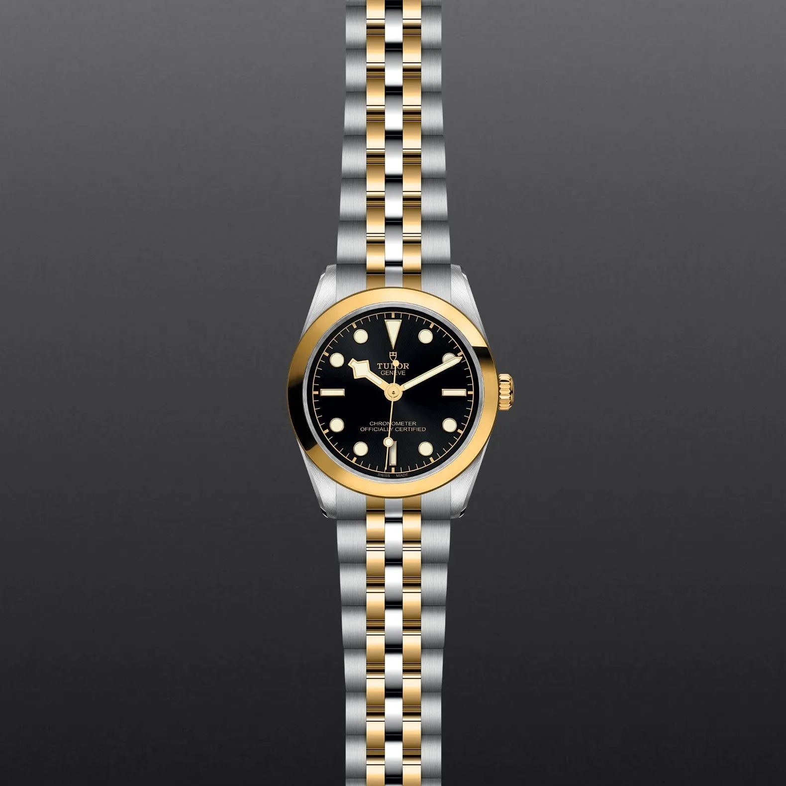 TUDOR Black Bay 31