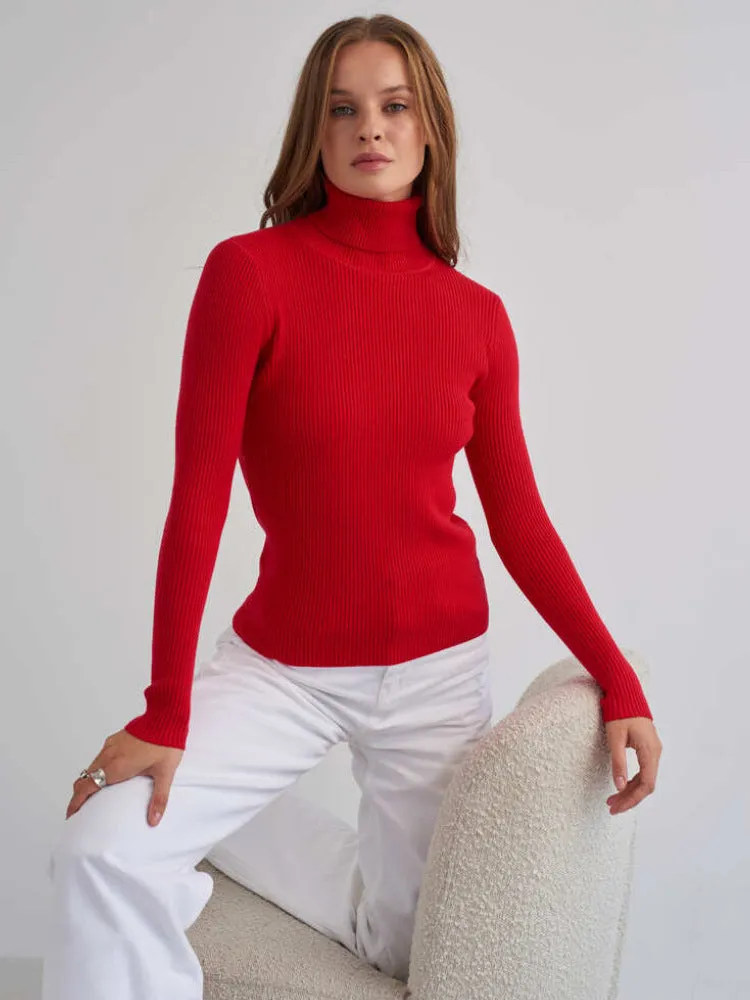 Turtleneck Sweater