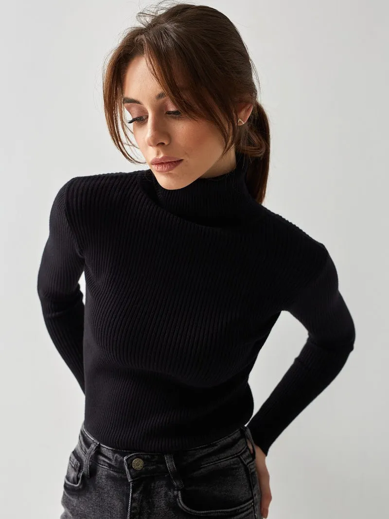 Turtleneck Sweater