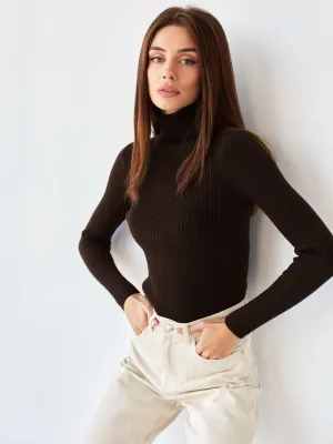 Turtleneck Sweater