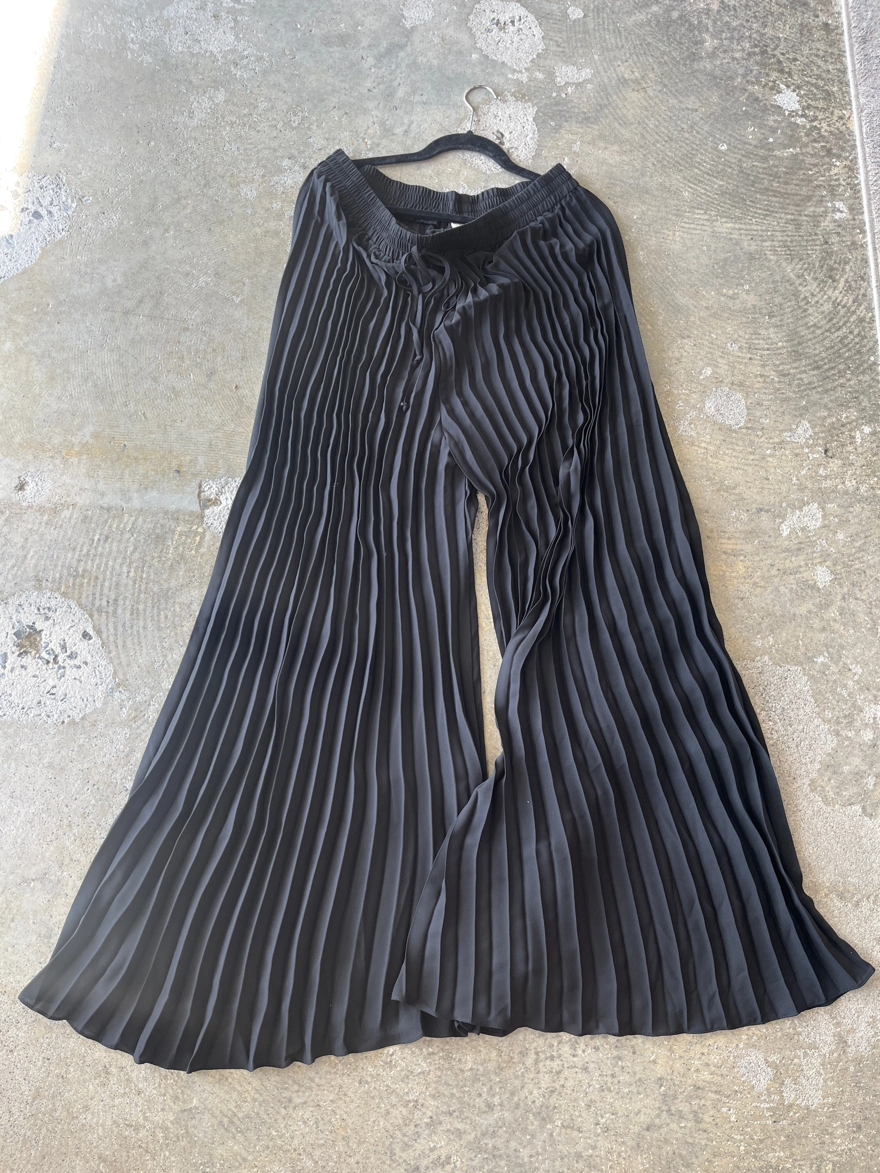 Wide Leg Pleated Pants